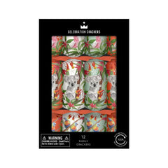 Family Crackers - Tropical Koala - (12 pack) by Celebration Crackers - Christmas Cracker Warehouse