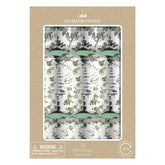 Eco Crackers - Eucalyptus (12 Pack) by Celebration Crackers - Christmas Cracker Warehouse
