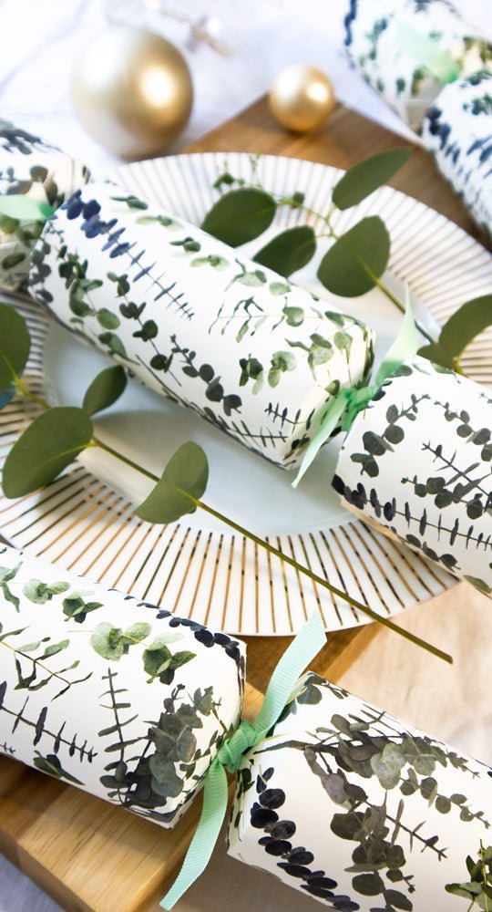 Eco Crackers - Eucalyptus (12 Pack) by Celebration Crackers - Christmas Cracker Warehouse