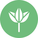 Plastic-Free Icon