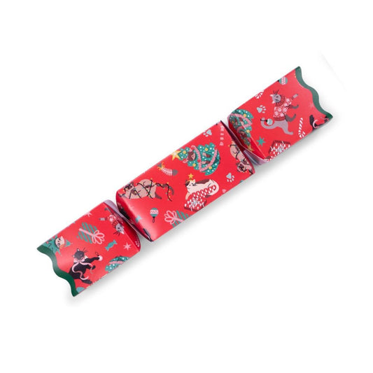 Cat Christmas Cracker by Celebration Crackers - Christmas Cracker Warehouse