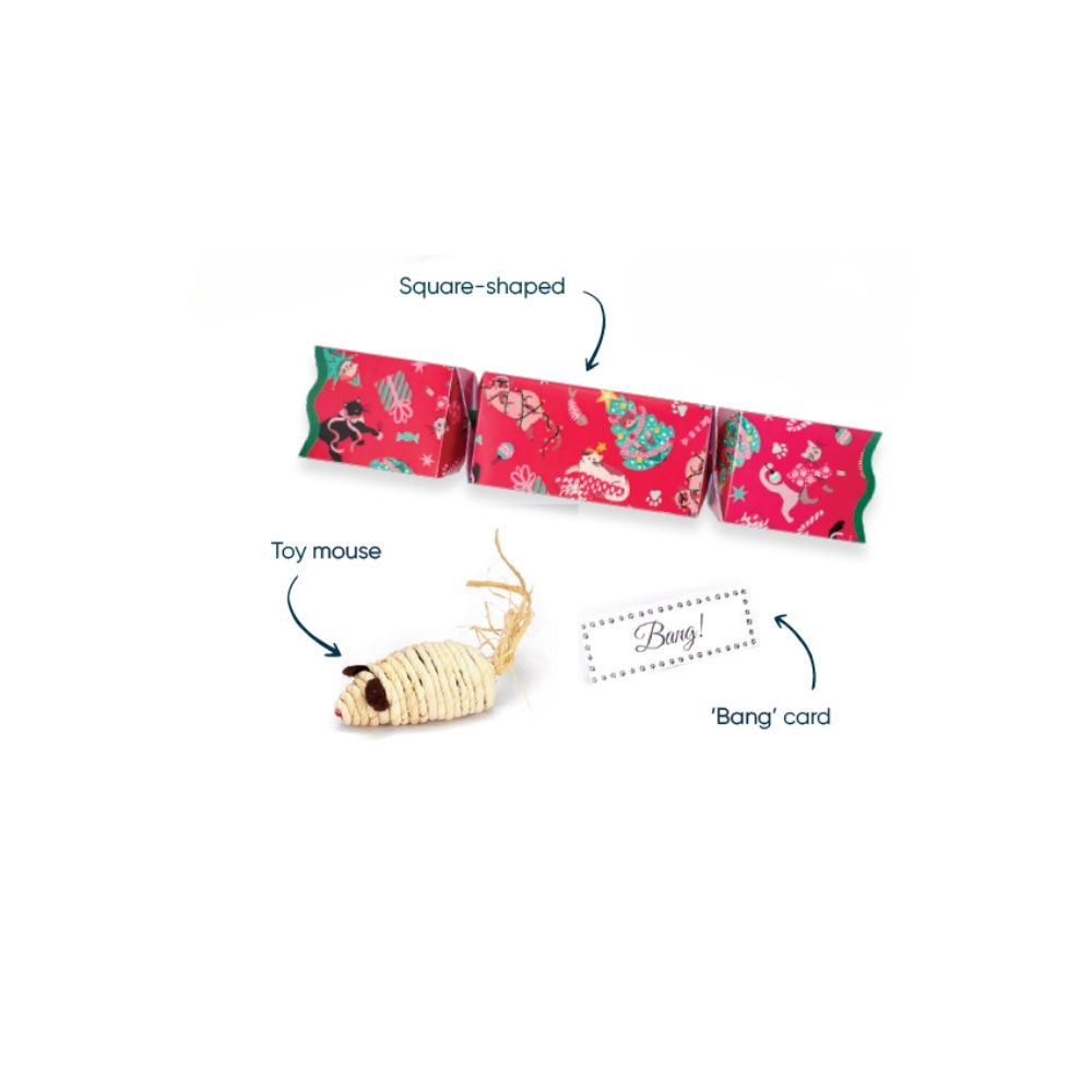 Cat Christmas Cracker by Celebration Crackers - Christmas Cracker Warehouse