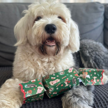 Dog Christmas Cracker by Celebration Crackers - Christmas Cracker Warehouse