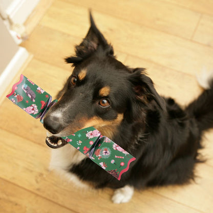 Dog Christmas Cracker by Celebration Crackers - Christmas Cracker Warehouse