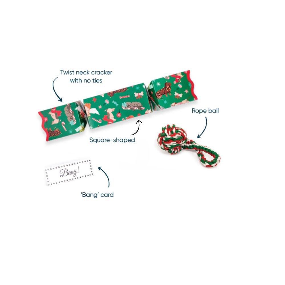 Dog Christmas Cracker by Celebration Crackers - Christmas Cracker Warehouse