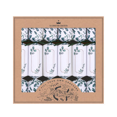 Fill Your Own Crackers - Eucalyptus - (6 pack) by Celebration Crackers - Christmas Cracker Warehouse